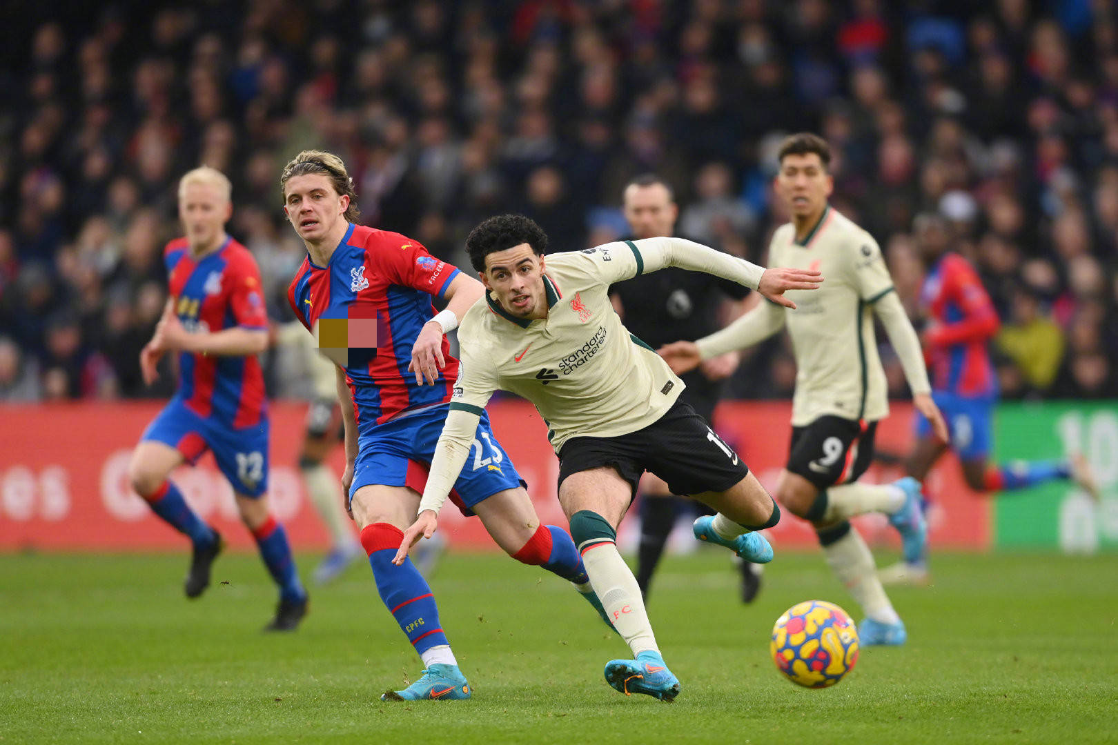 在某些方面 在某些方面